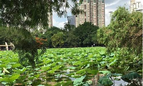 洪湖公园几个大门,洪湖公园要门票吗