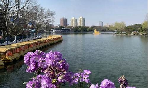 上海长风公园攻略,上海长风公园门票多少钱