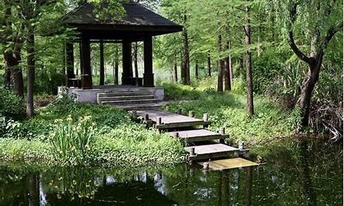 青西郊野公园景色介绍_郊野公园有哪些景点