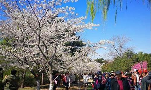 清明节北京好去处,清明节北京旅游攻略