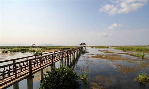 崇明岛旅游攻略景点必去图片_崇明岛旅游攻略景点必去