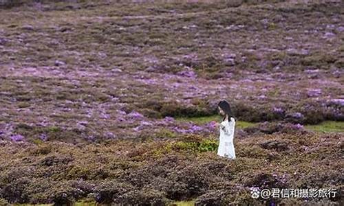 丽江景区门票价格_丽江景点开放时间