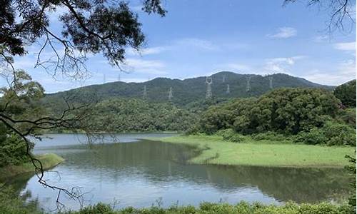 厦门天竺山森林公园徒步路线_厦门天竺山公园攻略