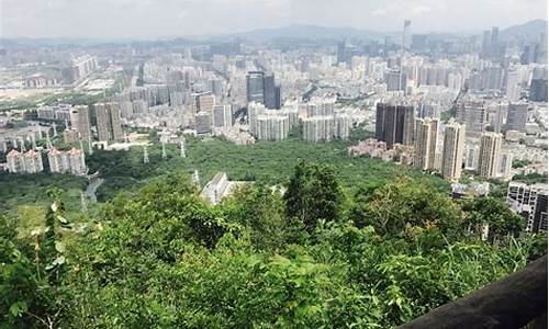 深圳大南山公园附近的饮食,深圳大南山公园附近的饮食店有哪些