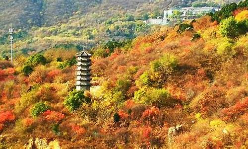 桂林西山公园景点介绍_西山公园景点介绍