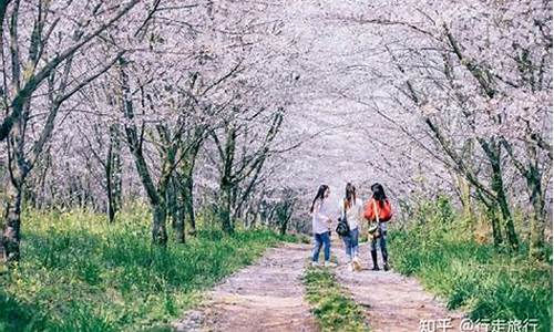 春季旅游攻略年味足_春季旅游攻略