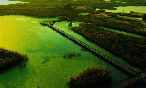 杭州湾湿地公园哪个季节最美,杭州湾湿地公园在哪