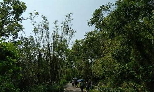 台山公园游玩攻略,台山公园在哪