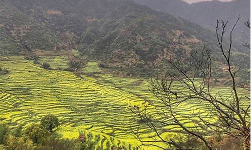 去江西婺源旅游攻略,婺源必去的三个景点