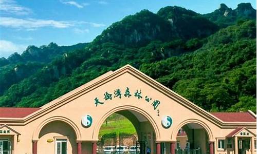 天桥沟森林公园在哪,医生温文尔雅