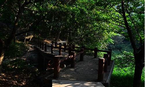 广州龙头山景区门票多少钱,广州龙头山森林公园游玩攻略一日游