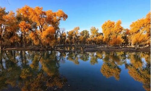 新疆木垒胡杨林景区,新疆木垒胡杨林旅游攻略