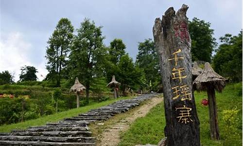 通城瑶族旅游景点门票多少钱,通城瑶族旅游景点门票多少钱一张