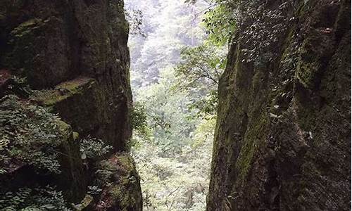 天目山两日游玩攻略_天目山旅游攻略两日游多少钱