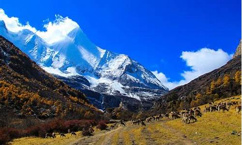 9月稻城亚丁旅游攻略_稻城亚丁九月下旬的风景图片