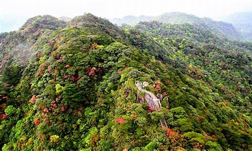 广东南岭森林公园,南岭国家森林公园游玩攻略