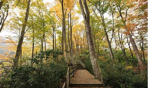 光雾山旅游风景区_光雾山旅游攻略自驾游路线最新