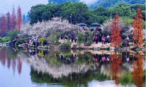 春季旅游景点推荐理由简短,春季旅游景点推荐理由