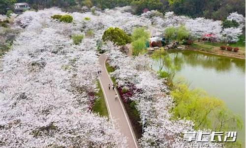 长沙玉湖公园门票价格多少_长沙玉湖公园