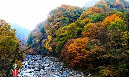 光雾山旅游攻略最新一日游路线_光雾山风景区攻略