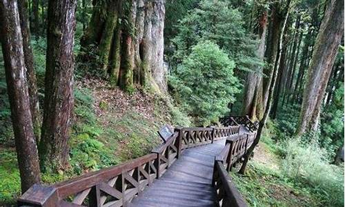 阿里山攻略11月_阿里山旅游攻略必玩的景点