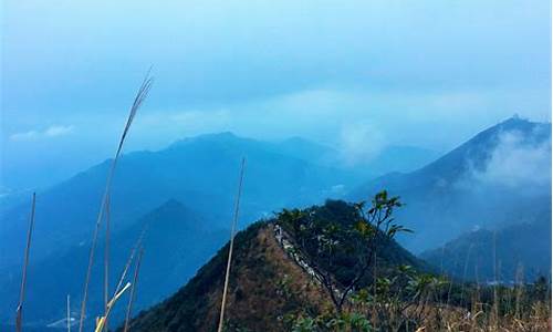 梧桐山游玩攻略,梧桐山旅游攻略大全一日游