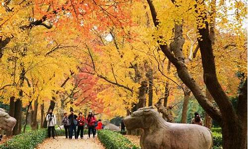 南京秋季旅游攻略景点必去,南京秋季旅游推荐