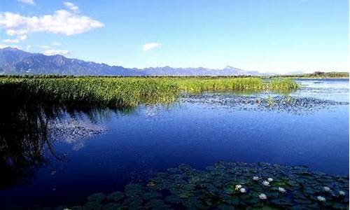 延庆野鸭湖湿地公园钓鱼地点,延庆野鸭湖湿地公园钓鱼