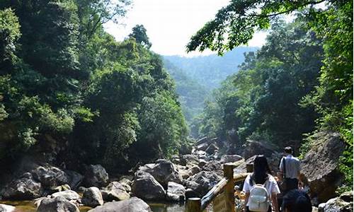 十万大山原始森林公园,十万大山深林公园