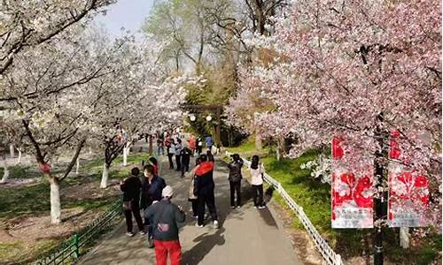 玉渊潭公园樱花节年票能用,玉渊潭公园赏樱花从哪个门进