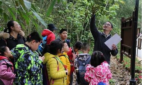 生态研学旅行主题活动方案_生态旅游景点研学