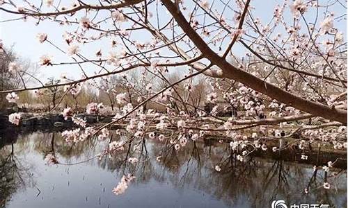 天津长虹公园门票-天津长虹公园桃花开了吗