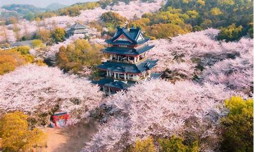 无锡景区排名必游景区-无锡景点排行榜前十名景点