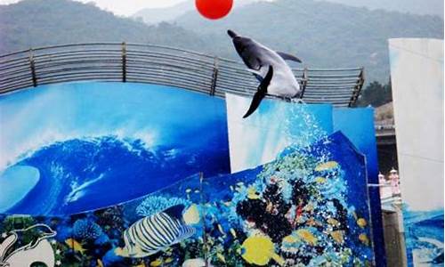 深圳海洋公园门票多少钱一张_深圳海洋公园